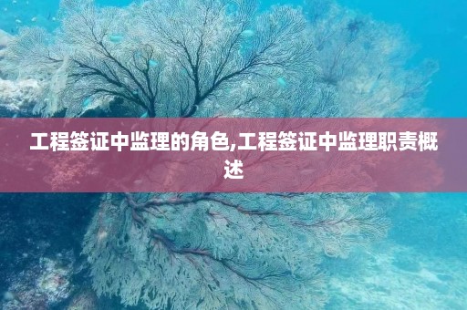 工程签证中监理的角色,工程签证中监理职责概述