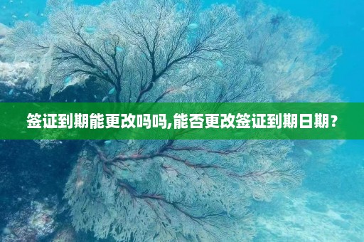 签证到期能更改吗吗,能否更改签证到期日期？