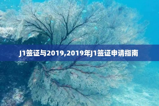 J1签证与2019,2019年J1签证申请指南