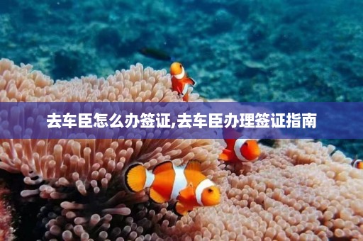 去车臣怎么办签证,去车臣办理签证指南