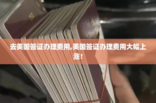 去美国签证办理费用,美国签证办理费用大幅上涨！  第1张