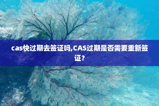 cas快过期去签证吗,CAS过期是否需要重新签证？