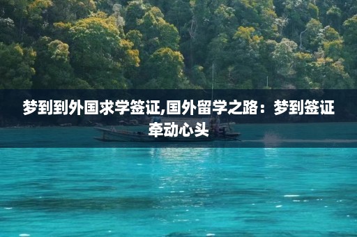 梦到到外国求学签证,国外留学之路：梦到签证牵动心头