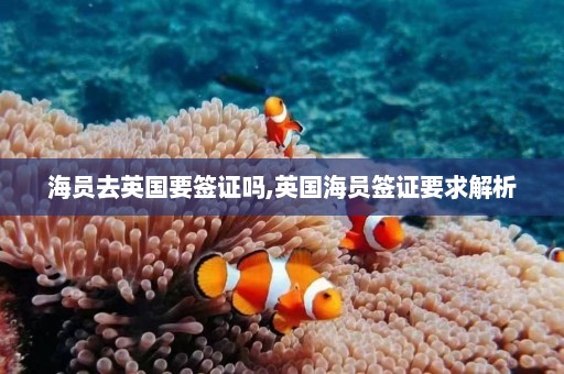 海员去英国要签证吗,英国海员签证要求解析