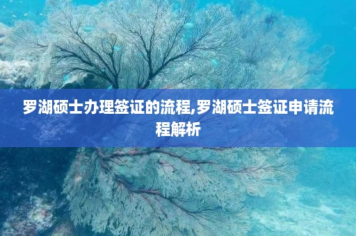 罗湖硕士办理签证的流程,罗湖硕士签证申请流程解析