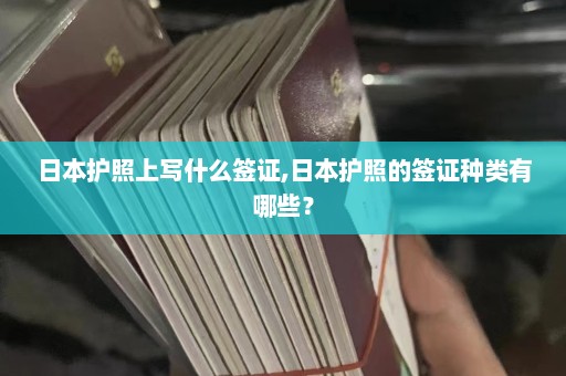 日本护照上写什么签证,日本护照的签证种类有哪些？  第1张