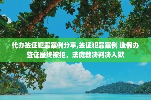 代办签证犯罪案例分享,签证犯罪案例 造假办签证最终被拒，法庭裁决判决入狱