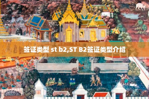 签证类型 st b2,ST B2签证类型介绍