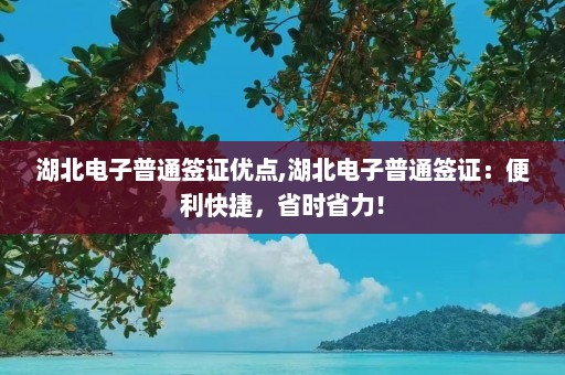 湖北电子普通签证优点,湖北电子普通签证：便利快捷，省时省力！