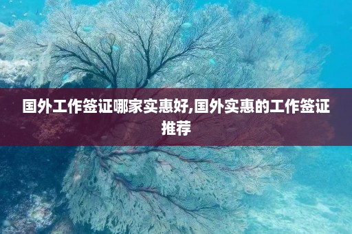 国外工作签证哪家实惠好,国外实惠的工作签证推荐