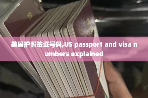 美国护照签证号码,US passport and visa numbers explained  第1张