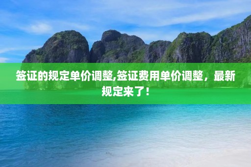 签证的规定单价调整,签证费用单价调整，最新规定来了！