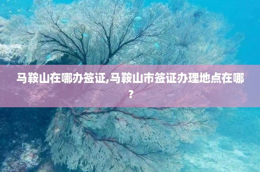 马鞍山在哪办签证,马鞍山市签证办理地点在哪？