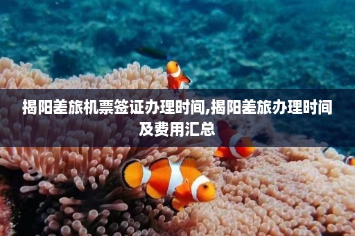 揭阳差旅机票签证办理时间,揭阳差旅办理时间及费用汇总