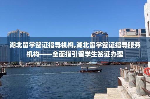 湖北留学签证指导机构,湖北留学签证指导服务机构——全面指引留学生签证办理