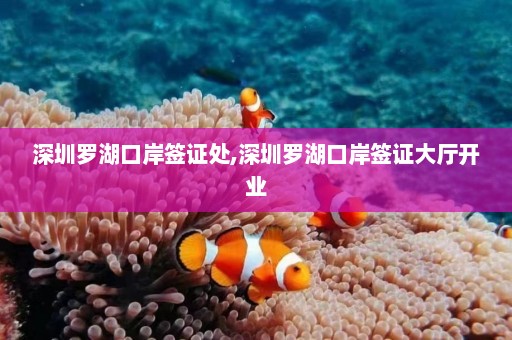 深圳罗湖口岸签证处,深圳罗湖口岸签证大厅开业