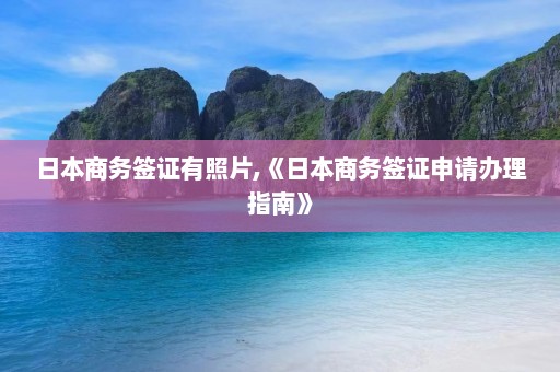 日本商务签证有照片,《日本商务签证申请办理指南》  第1张