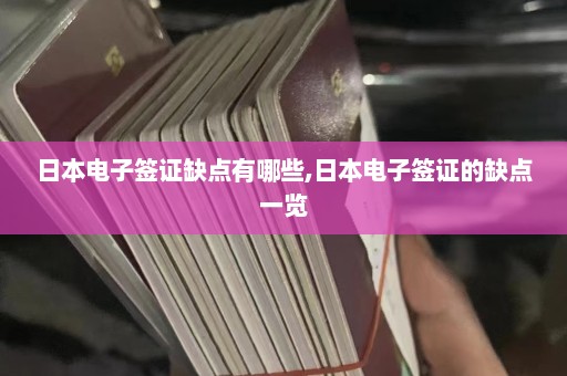 日本电子签证缺点有哪些,日本电子签证的缺点一览  第1张