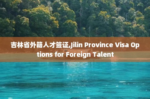 吉林省外籍人才签证,Jilin Province Visa Options for Foreign Talent