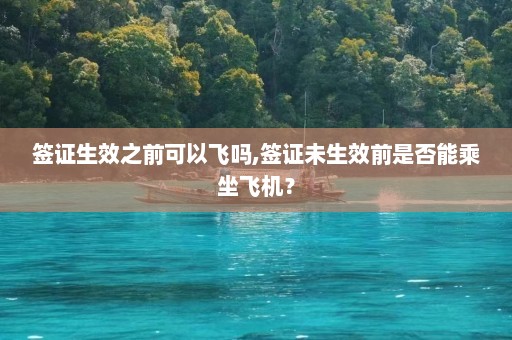 签证生效之前可以飞吗,签证未生效前是否能乘坐飞机？