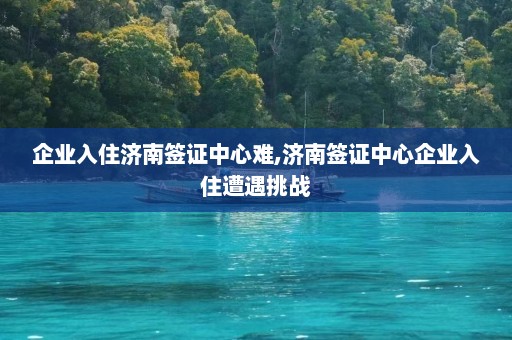 企业入住济南签证中心难,济南签证中心企业入住遭遇挑战