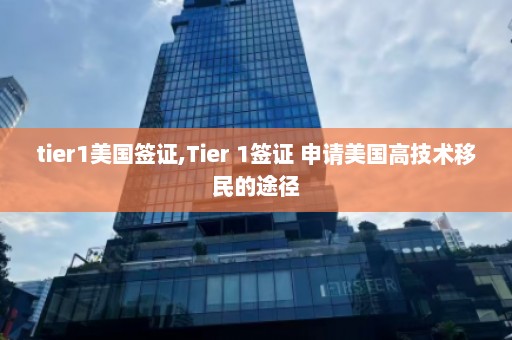 tier1美国签证,Tier 1签证 申请美国高技术移民的途径  第1张