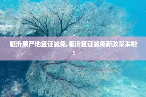 临沂原产地签证减免,临沂签证减免新政策来啦！