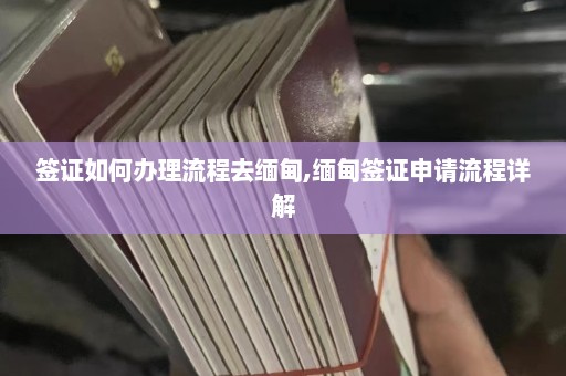 签证如何办理流程去缅甸,缅甸签证申请流程详解  第1张