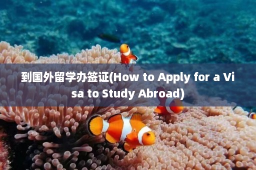 到国外留学办签证(How to Apply for a Visa to Study Abroad)