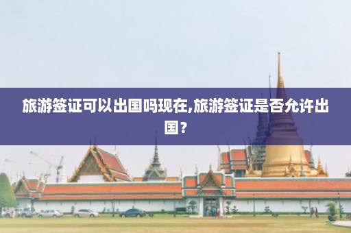 旅游签证可以出国吗现在,旅游签证是否允许出国？  第1张