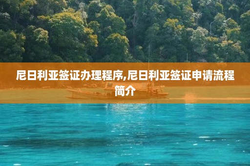 尼日利亚签证办理程序,尼日利亚签证申请流程简介