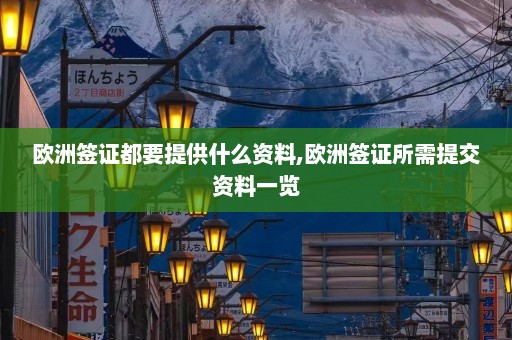 欧洲签证都要提供什么资料,欧洲签证所需提交资料一览