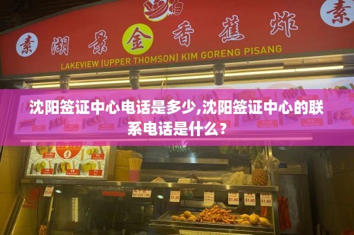 沈阳签证中心电话是多少,沈阳签证中心的联系电话是什么？