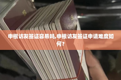 申根访友签证容易吗,申根访友签证申请难度如何？  第1张