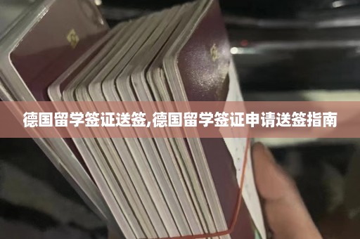 德国留学签证送签,德国留学签证申请送签指南  第1张