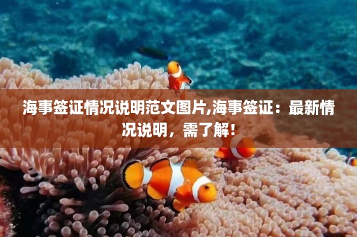 海事签证情况说明范文图片,海事签证：最新情况说明，需了解！