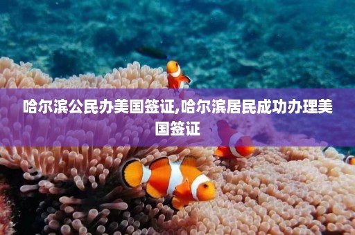 哈尔滨公民办美国签证,哈尔滨居民成功办理美国签证