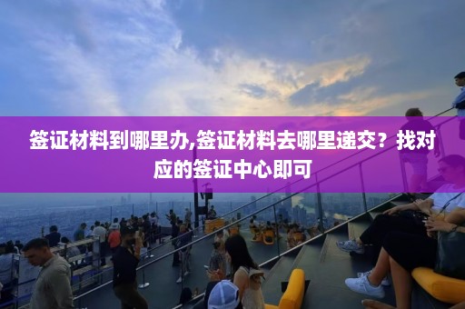 签证材料到哪里办,签证材料去哪里递交？找对应的签证中心即可  第1张