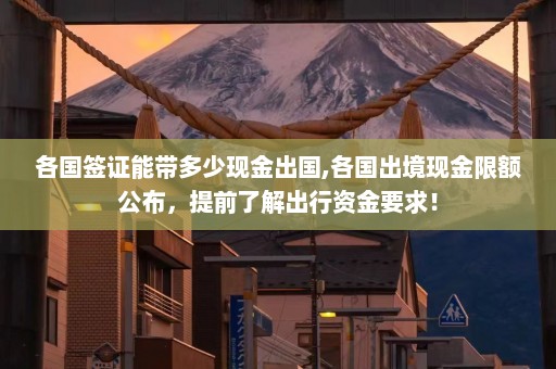 各国签证能带多少现金出国,各国出境现金限额公布，提前了解出行资金要求！