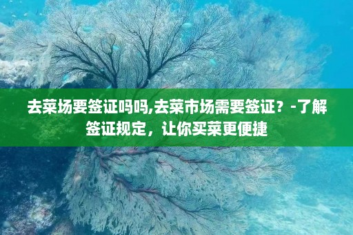 去菜场要签证吗吗,去菜市场需要签证？-了解签证规定，让你买菜更便捷