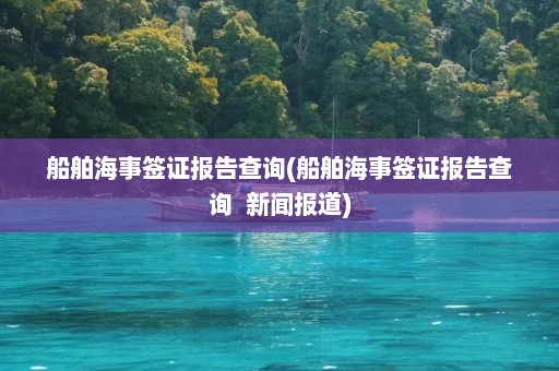 船舶海事签证报告查询(船舶海事签证报告查询  新闻报道)