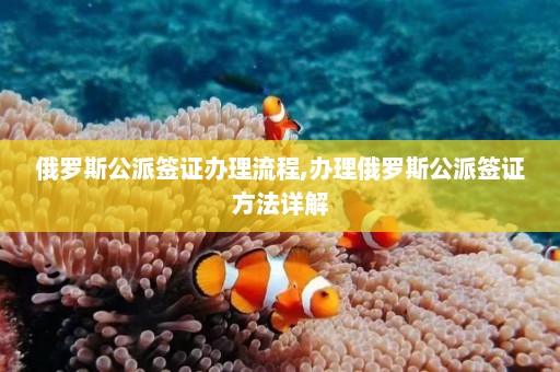 俄罗斯公派签证办理流程,办理俄罗斯公派签证方法详解