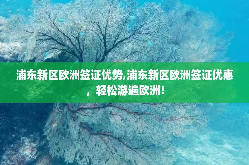 浦东新区欧洲签证优势,浦东新区欧洲签证优惠，轻松游遍欧洲！