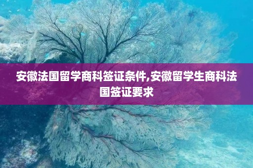 安徽法国留学商科签证条件,安徽留学生商科法国签证要求