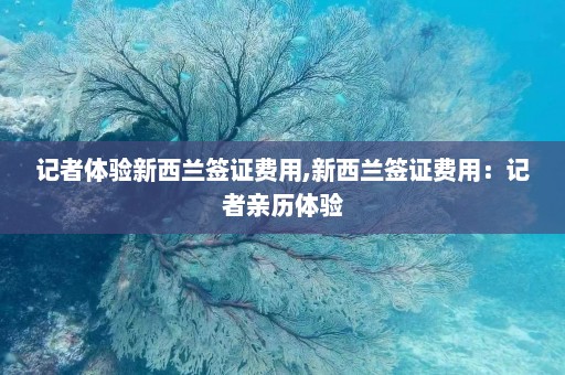 记者体验新西兰签证费用,新西兰签证费用：记者亲历体验