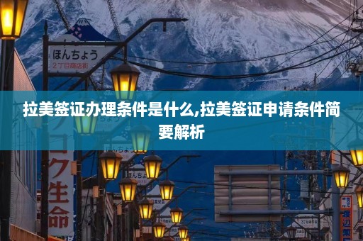 拉美签证办理条件是什么,拉美签证申请条件简要解析