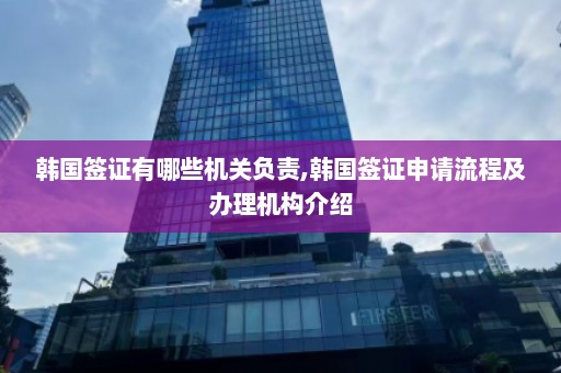 韩国签证有哪些机关负责,韩国签证申请流程及办理机构介绍  第1张