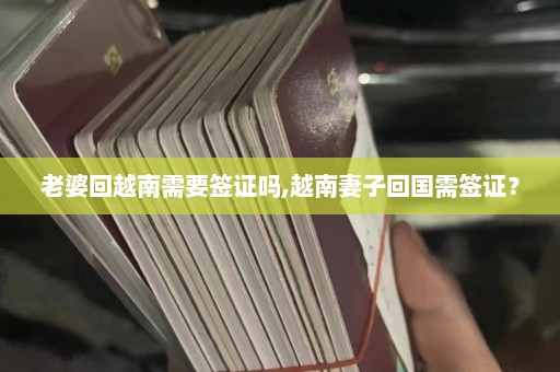 老婆回越南需要签证吗,越南妻子回国需签证？