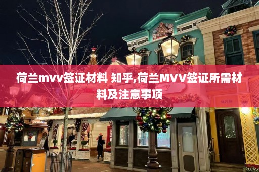 荷兰mvv签证材料 知乎,荷兰MVV签证所需材料及注意事项