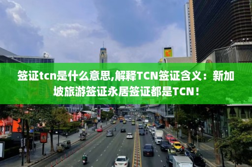 签证tcn是什么意思,解释TCN签证含义：新加坡旅游签证永居签证都是TCN！  第1张